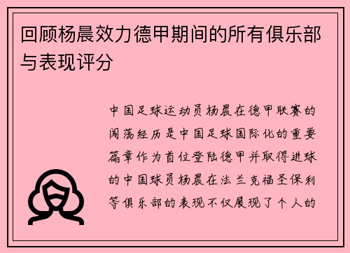 回顾杨晨效力德甲期间的所有俱乐部与表现评分